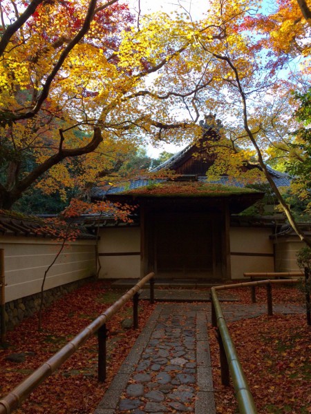 高桐院