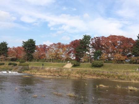 鴨川紅葉